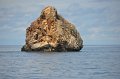 Thailand - Ko Lanta Diving (16)